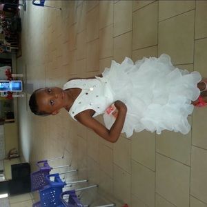 Meet your Posher, Frank